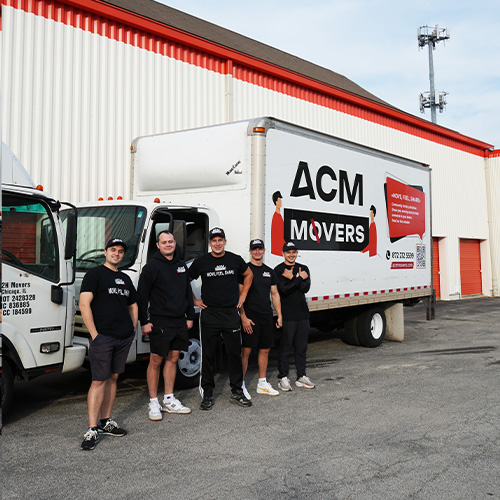 acmmovers galery foto 10